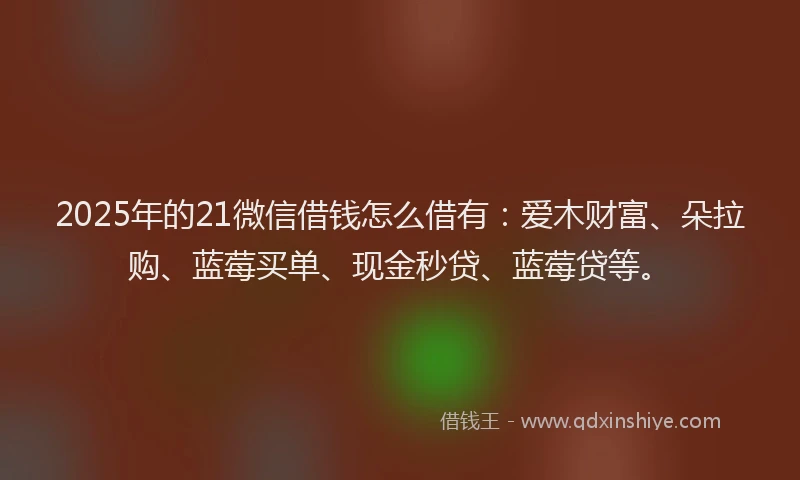2025年的21微信借钱怎么借有:爱木财富、朵拉购、蓝莓买单、现金秒贷、蓝莓贷等。