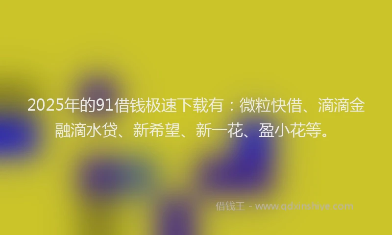 2025年的91借钱极速下载有：微粒快借、滴滴金融滴水贷、新希望、新一花、盈小花等。