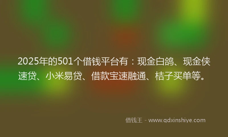 2025年的501个借钱平台有：现金白鸽、现金侠速贷、小米易贷、借款宝速融通、桔子买单等。
