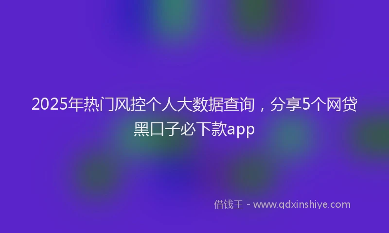 2025年热门风控个人大数据查询，分享5个网贷黑口子必下款app