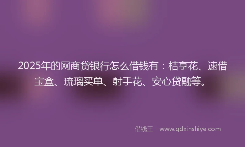 2025年的网商贷银行怎么借钱有：桔享花、速借宝盒、琉璃买单、射手花、安心贷融等。