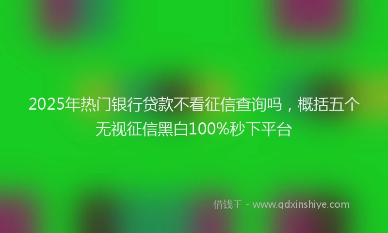 2025年热门银行贷款不看征信查询吗，概括五个无视征信黑白100%秒下平台