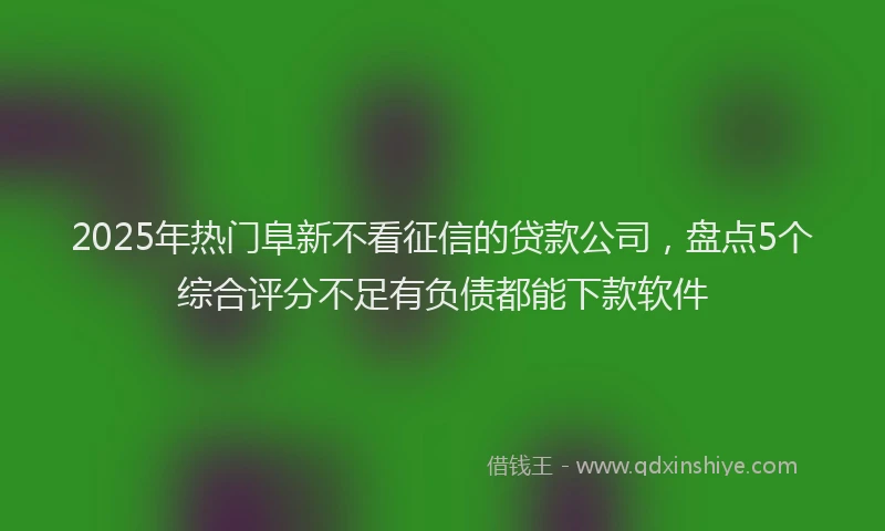 2025年热门阜新不看征信的贷款公司，盘点5个综合评分不足有负债都能下款软件