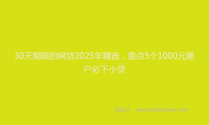 30天期限的网贷2025年精选，盘点5个1000元黑户必下小贷