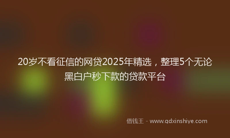 20岁不看征信的网贷2025年精选，整理5个无论黑白户秒下款的贷款平台