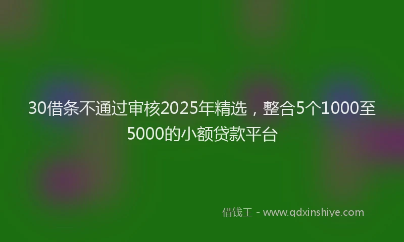 30借条不通过审核2025年精选，整合5个1000至5000的小额贷款平台