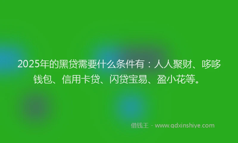 2025年的黑贷需要什么条件有：人人聚财、哆哆钱包、信用卡贷、闪贷宝易、盈小花等。