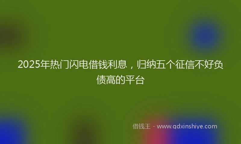 2025年热门闪电借钱利息,归纳五个征信不好负债高的平台