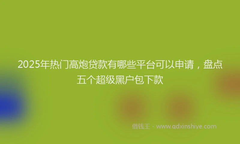 2025年热门高炮贷款有哪些平台可以申请，盘点五个超级黑户包下款