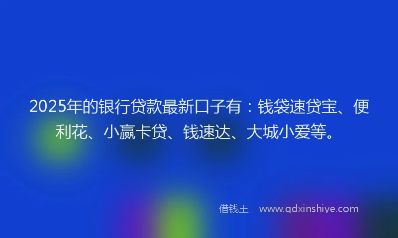 2025年的银行贷款最新口子有：钱袋速贷宝、便利花、小赢卡贷、钱速达、大城小爱等。