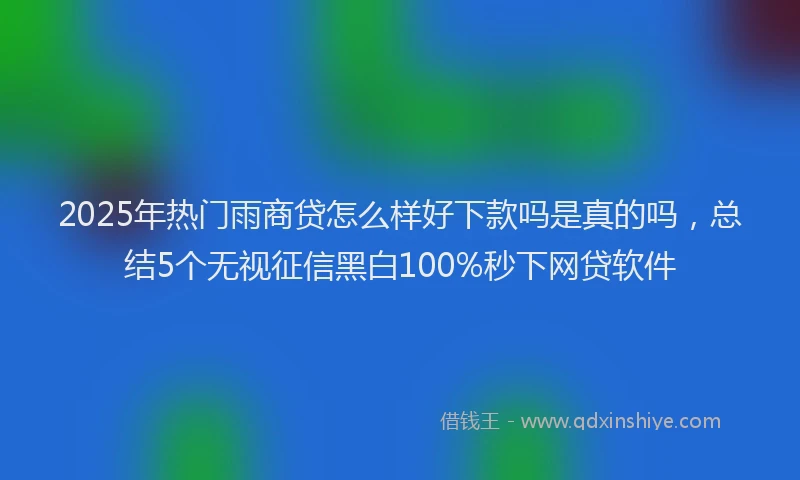2025年热门雨商贷怎么样好下款吗是真的吗，总结5个无视征信黑白100%秒下网贷软件
