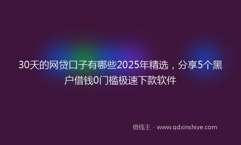 30天的网贷口子有哪些2025年精选,分享5个黑户借钱0门槛极速下款软件