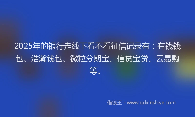 2025年的银行走线下看不看征信记录有：有钱钱包、浩瀚钱包、微粒分期宝、信贷宝贷、云易购等。