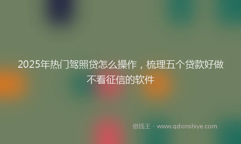 2025年热门驾照贷怎么操作，梳理五个贷款好做不看征信的软件