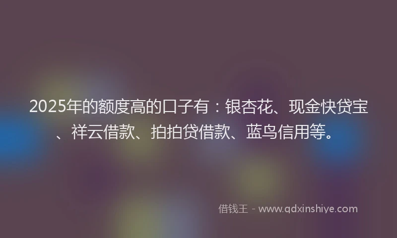 2025年的额度高的口子有：银杏花、现金快贷宝、祥云借款、拍拍贷借款、蓝鸟信用等。