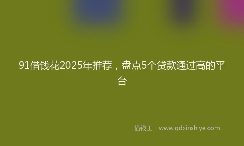 91借钱花2025年推荐，盘点5个贷款通过高的平台