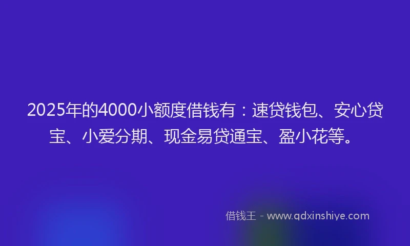2025年的4000小额度借钱有：速贷钱包、安心贷宝、小爱分期、现金易贷通宝、盈小花等。