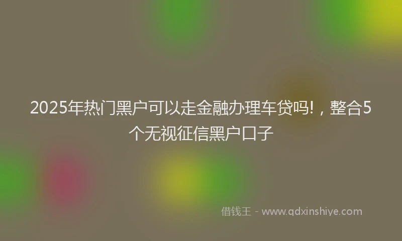 2025年热门黑户可以走金融办理车贷吗!，整合5个无视征信黑户口子