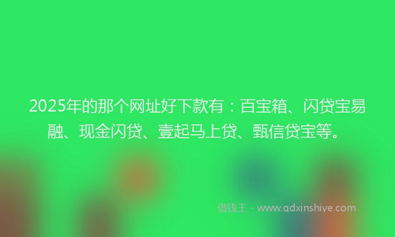 2025年的那个网址好下款有：百宝箱、闪贷宝易融、现金闪贷、壹起马上贷、甄信贷宝等。