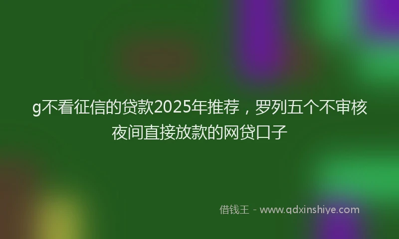 g不看征信的贷款2025年推荐，罗列五个不审核夜间直接放款的网贷口子