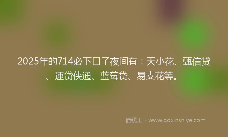 2025年的714必下口子夜间有：天小花、甄信贷、速贷侠通、蓝莓贷、易支花等。