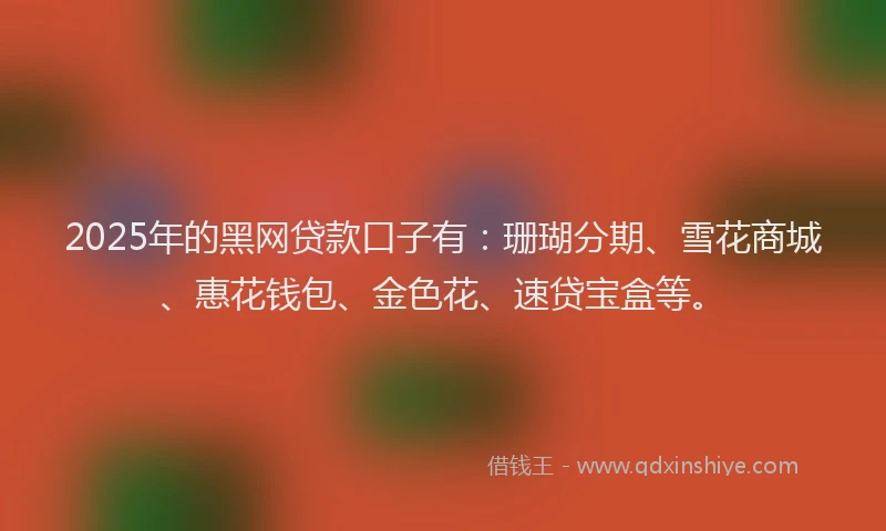 2025年的黑网贷款口子有：珊瑚分期、雪花商城、惠花钱包、金色花、速贷宝盒等。
