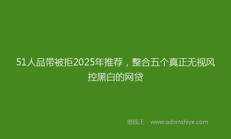 51人品带被拒2025年推荐，整合五个真正无视风控黑白的网贷