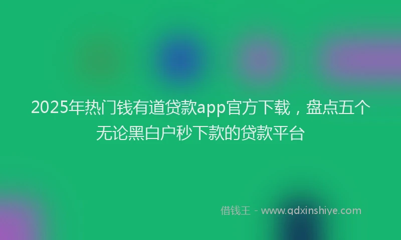 2025年热门钱有道贷款app官方下载，盘点五个无论黑白户秒下款的贷款平台