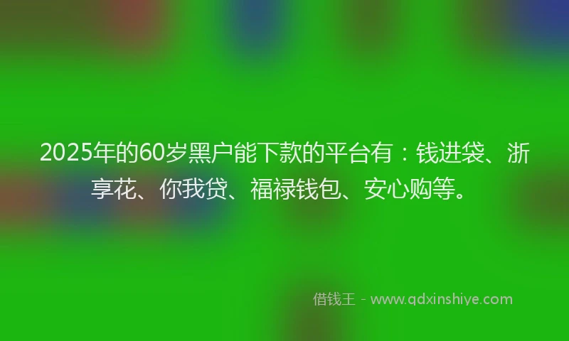 2025年的60岁黑户能下款的平台有：钱进袋、浙享花、你我贷、福禄钱包、安心购等。