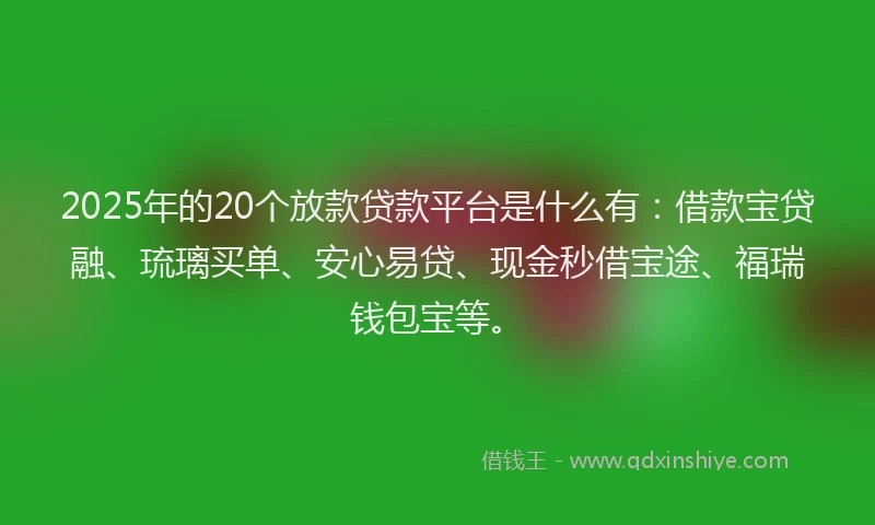 2025年的20个放款贷款平台是什么有：借款宝贷融、琉璃买单、安心易贷、现金秒借宝途、福瑞钱包宝等。