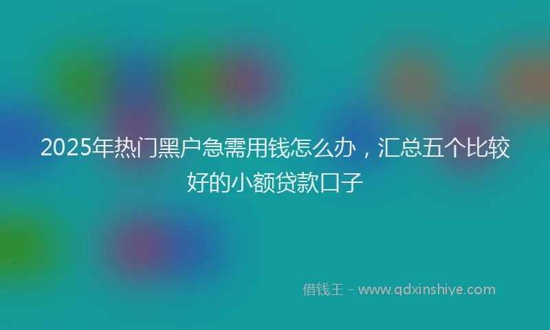 2025年热门黑户急需用钱怎么办，汇总五个比较好的小额贷款口子