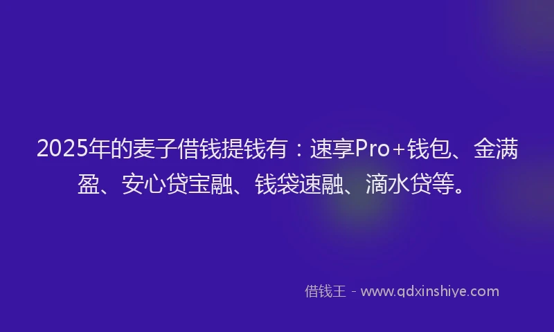 2025年的麦子借钱提钱有：速享Pro+钱包、金满盈、安心贷宝融、钱袋速融、滴水贷等。