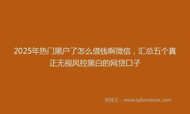 2025年热门黑户了怎么借钱啊微信,汇总五个真正无视风控黑白的网贷口子