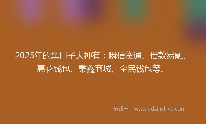 2025年的黑口子大神有:瞬信贷通、借款易融、惠花钱包、秉鑫商城、全民钱包等。