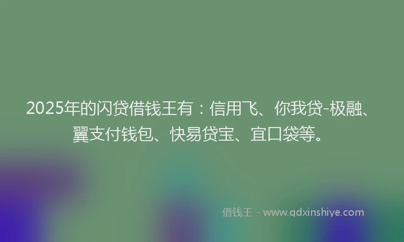 2025年的闪贷借钱王有：信用飞、你我贷-极融、翼支付钱包、快易贷宝、宜口袋等。