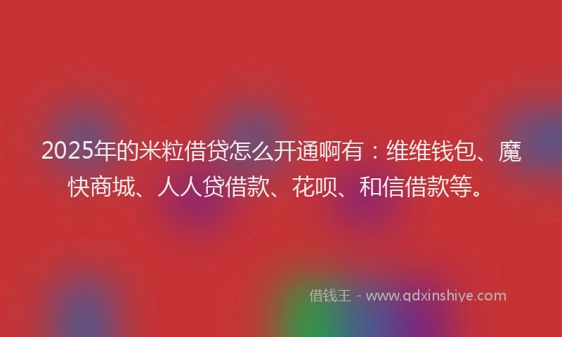 2025年的米粒借贷怎么开通啊有：维维钱包、魔快商城、人人贷借款、花呗、和信借款等。