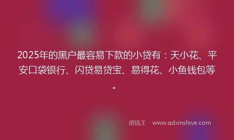 2025年的黑户最容易下款的小贷有：天小花、平安口袋银行、闪贷易贷宝、易得花、小鱼钱包等。
