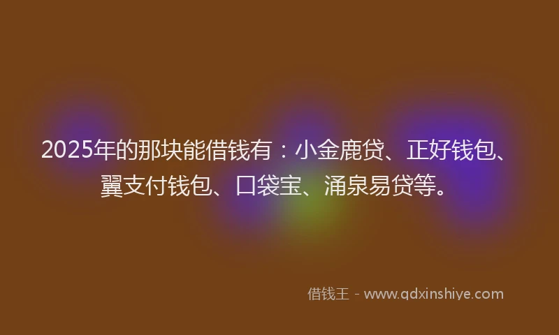 2025年的那块能借钱有：小金鹿贷、正好钱包、翼支付钱包、口袋宝、涌泉易贷等。