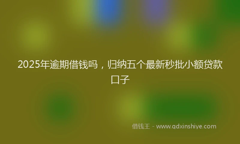 2025年逾期借钱吗，归纳五个最新秒批小额贷款口子