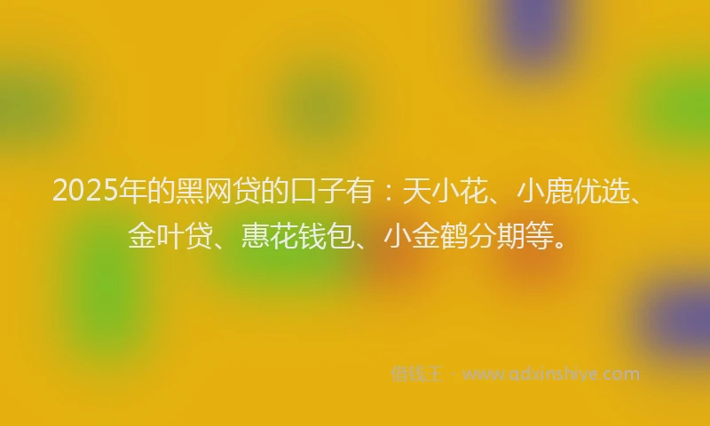 2025年的黑网贷的口子有：天小花、小鹿优选、金叶贷、惠花钱包、小金鹤分期等。