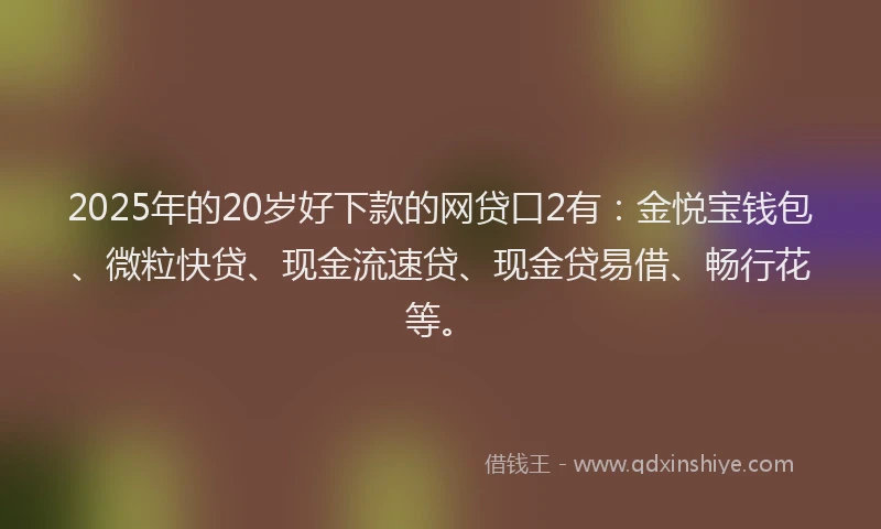 2025年的20岁好下款的网贷口2有：金悦宝钱包、微粒快贷、现金流速贷、现金贷易借、畅行花等。