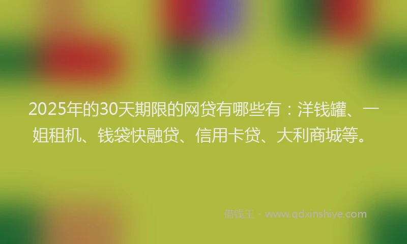 2025年的30天期限的网贷有哪些有：洋钱罐、一姐租机、钱袋快融贷、信用卡贷、大利商城等。