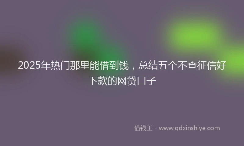 2025年热门那里能借到钱，总结五个不查征信好下款的网贷口子