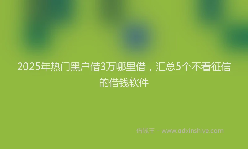 2025年热门黑户借3万哪里借，汇总5个不看征信的借钱软件