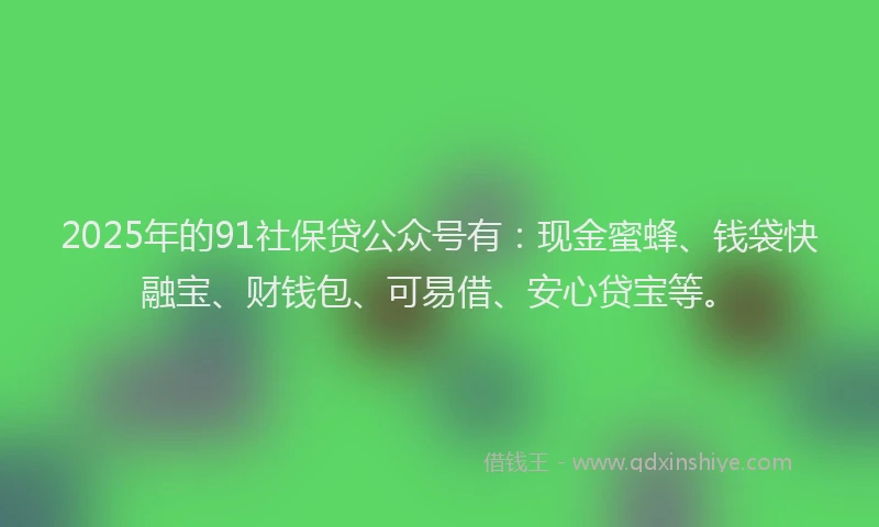 2025年的91社保贷公众号有：现金蜜蜂、钱袋快融宝、财钱包、可易借、安心贷宝等。