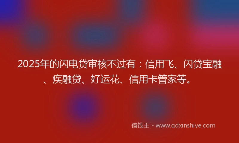 2025年的闪电贷审核不过有：信用飞、闪贷宝融、疾融贷、好运花、信用卡管家等。