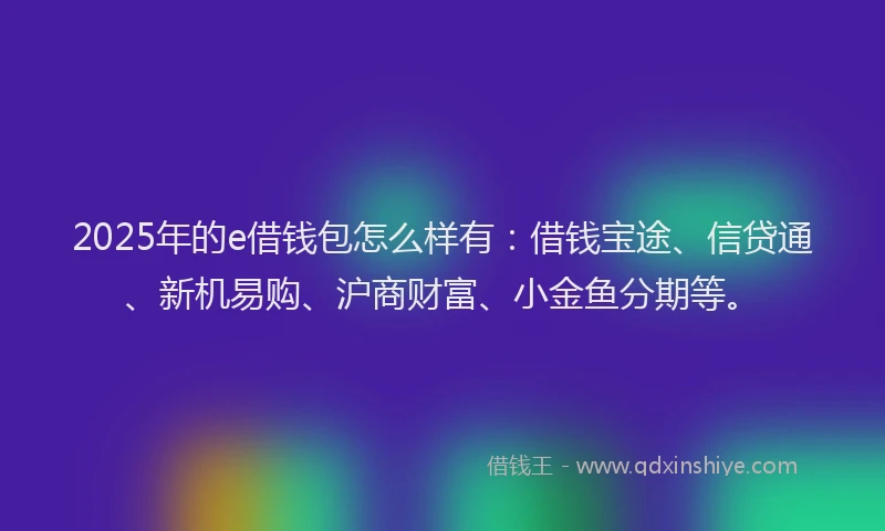 2025年的e借钱包怎么样有：借钱宝途、信贷通、新机易购、沪商财富、小金鱼分期等。