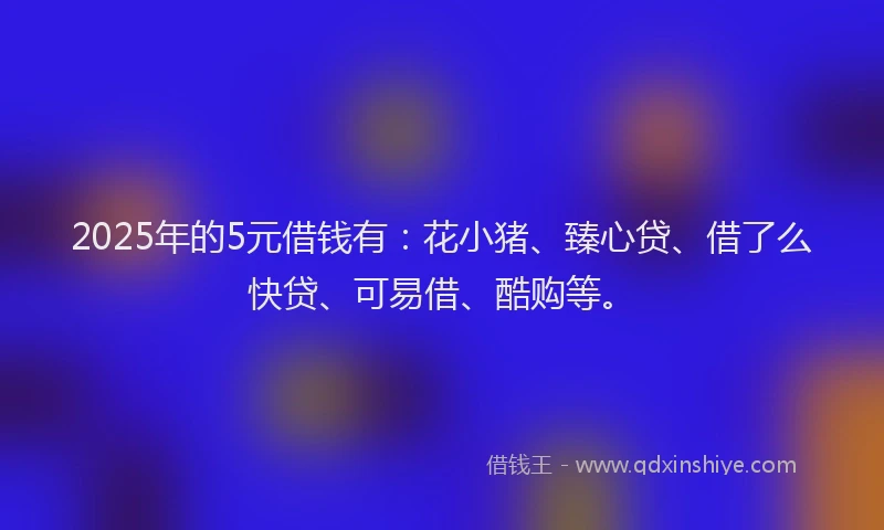 2025年的5元借钱有：花小猪、臻心贷、借了么快贷、可易借、酷购等。