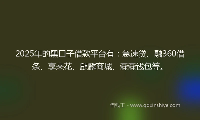 2025年的黑口子借款平台有：急速贷、融360借条、享来花、麒麟商城、森森钱包等。
