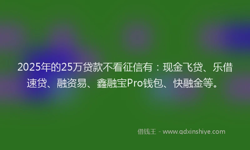 2025年的25万贷款不看征信有：现金飞贷、乐借速贷、融资易、鑫融宝Pro钱包、快融金等。